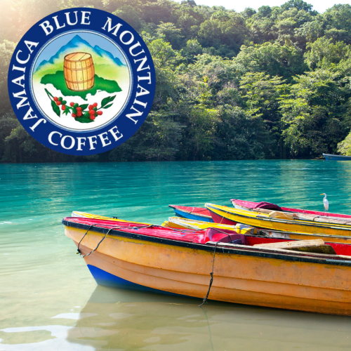 Café Jamaïque - Blue Mountain