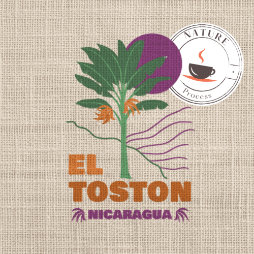 Café du Nicaragua - Nueva Segovia - El Toston Nature